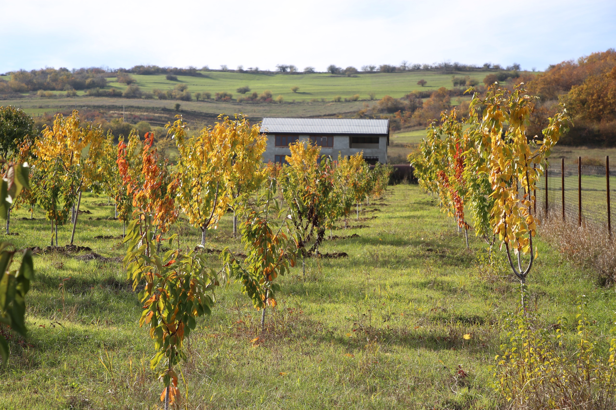 Сотрудники Минэкономразвития проверили ход реализации программы развития горных территорий в Казбековском районе